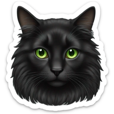 Black big quand long hair cat with Green eyes sticker