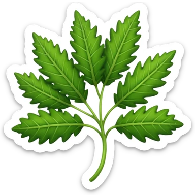Groundsel leaves sticker