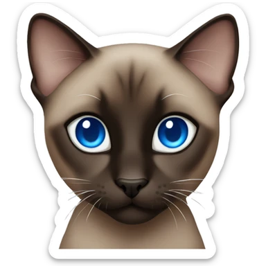 Dark brown and black Siamese cat with blue eyes sticker