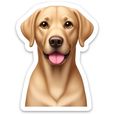 Tan Labrador retriever with pink nose  sticker