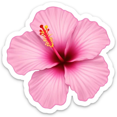 hibiscus flower pink sticker