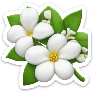 Jasmine sticker
