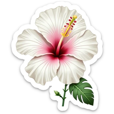 single white Hawaiian hibiscus, straight stem sticker