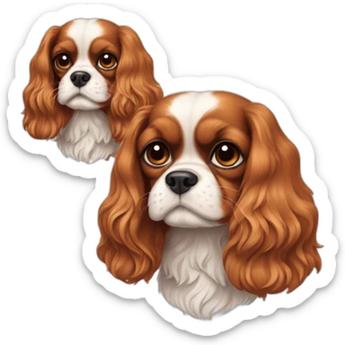 Cavalier King Charles cannes sticker