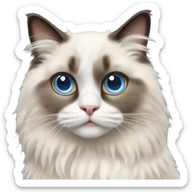 Ragdoll cat sticker