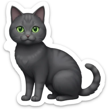 full body view of beautiful female solid dark grey cat with green eyes, white toes/paws and white patch on her chest sticker