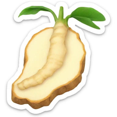 one sliced ginger root sticker
