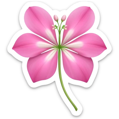Dicentra flower sticker