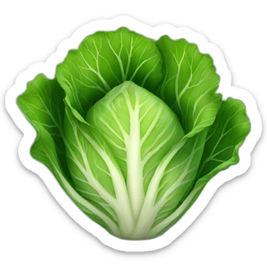 cabbage  sticker