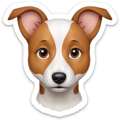 a fully white jack russell the size of a kelpie with light brown ears and a light brown patch on one eye sticker