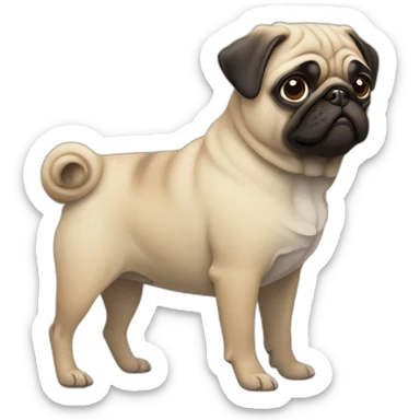 Pug sticker