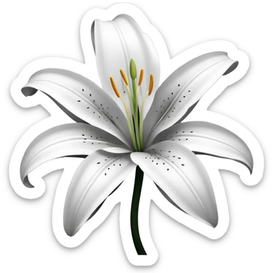 an outline of one singular lily flower, no colour,just outline sticker