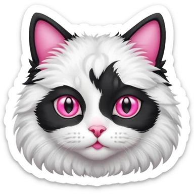Gato blanco y negro sticker