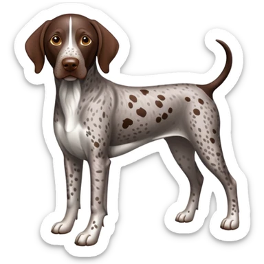 Liver roan German Shorthaired Pointer  sticker