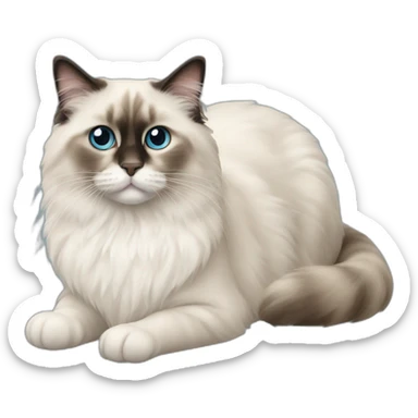ragdoll-cat sticker