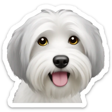 black coton de tulear sticker
