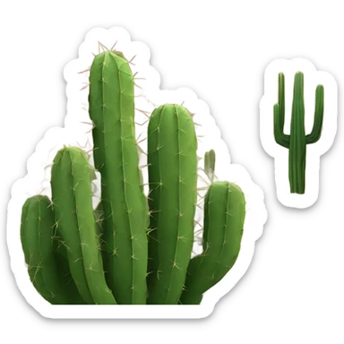 Arizona canyon with cactus  sticker