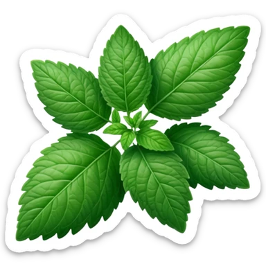 Peppermint (Mentha \(\times \) piperita)  sticker