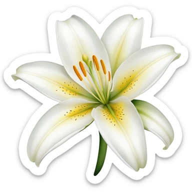 White lily flower sticker