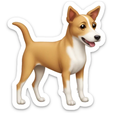 cute mutt podengo dog  sticker