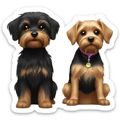 2 Yorkie and 1 black lab together  sticker