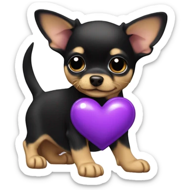 black & tan chihuahua puppy with a purple heart sticker