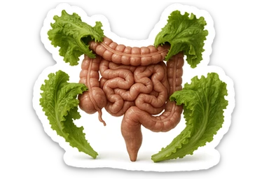 foglie di insalata che attaccano un intestino anatomico umano per distruggerlo, iperrealistico sticker