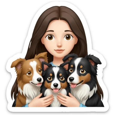 A long-haired girl holding two Border Collies sticker