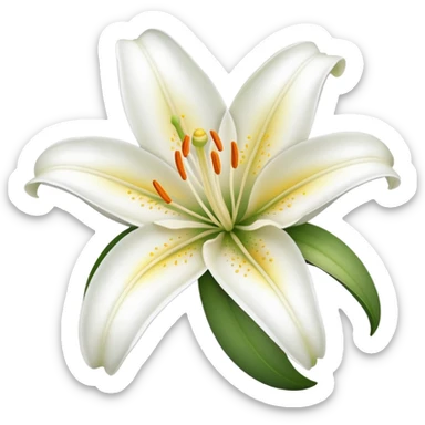 lily flower  sticker