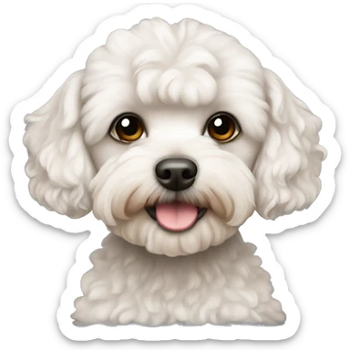hairless maltipoo sticker