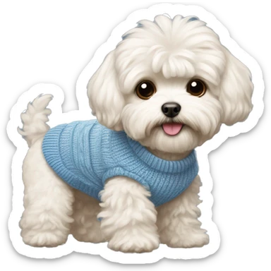 Dog Maltipoo wearing a sweater sticker