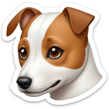 Jack Russel Terrier with a light brown symmetric "mask" on face with white line going from forehead to nose and mouth, white trim on left ear sticker