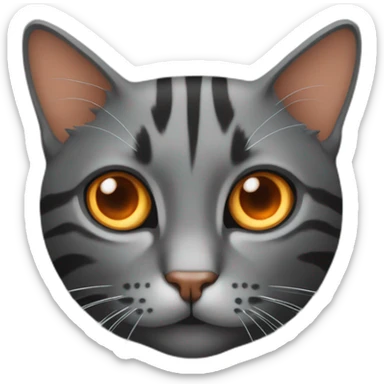 Cat dark grey with stripes and with orange eyes and sticker