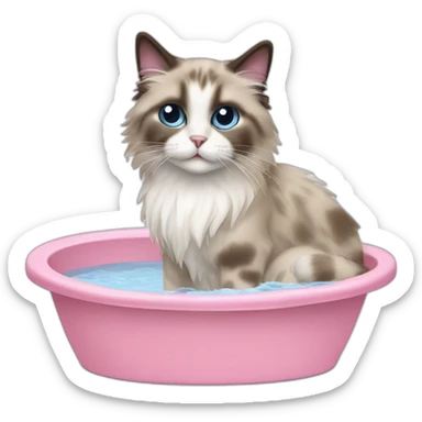 Ragdoll cat bathing sticker