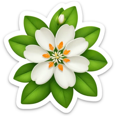 orange blossom character  sticker