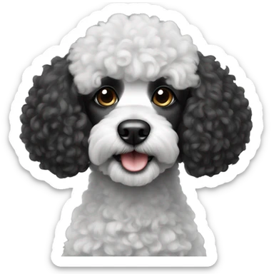 Black and white poodle  sticker