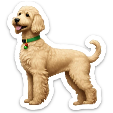 Christmas golden doodle  sticker
