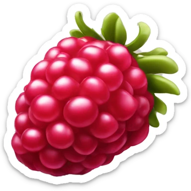 Rasberry sticker