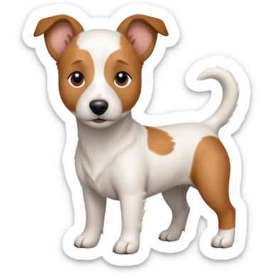 a full body white jack russel looking dog the size of a kelpie with light brown ears and a light brown patch on one eye, flopped down ears and a large snout sticker