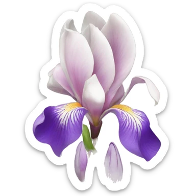 magnolia and iris flowers sticker