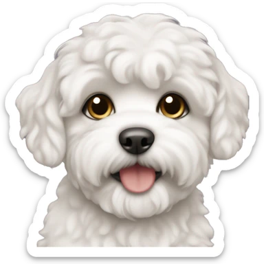 Schichon puppy  sticker
