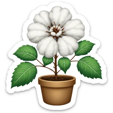 A cotton plant sticker