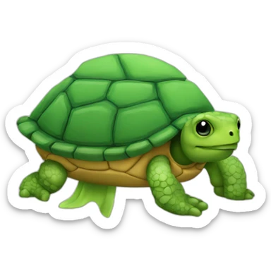 Follet tortuga sticker