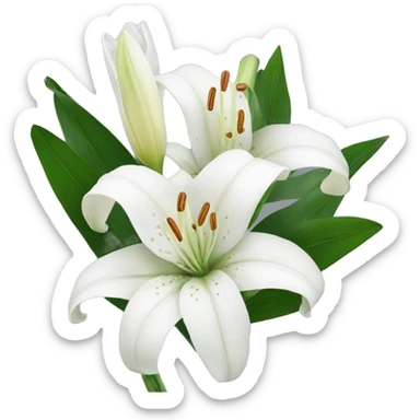 Bouquet of white lilies  sticker