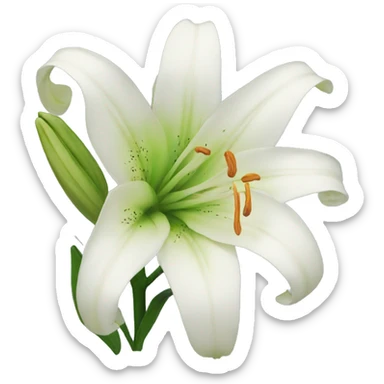 Lily  sticker