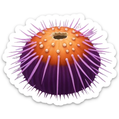 sea ​​urchin sticker