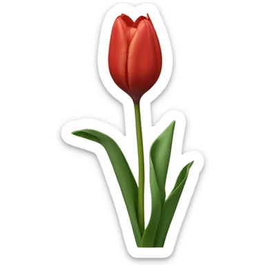 Tulipan sticker