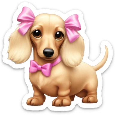 Pale Blonde fluffy dachshund head with pink bows on ears sticker