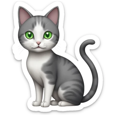 full body small short hair dark grey and white cat with green eyes sticker