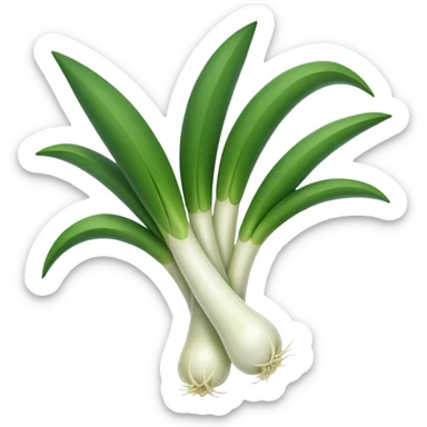 spring onion sticker